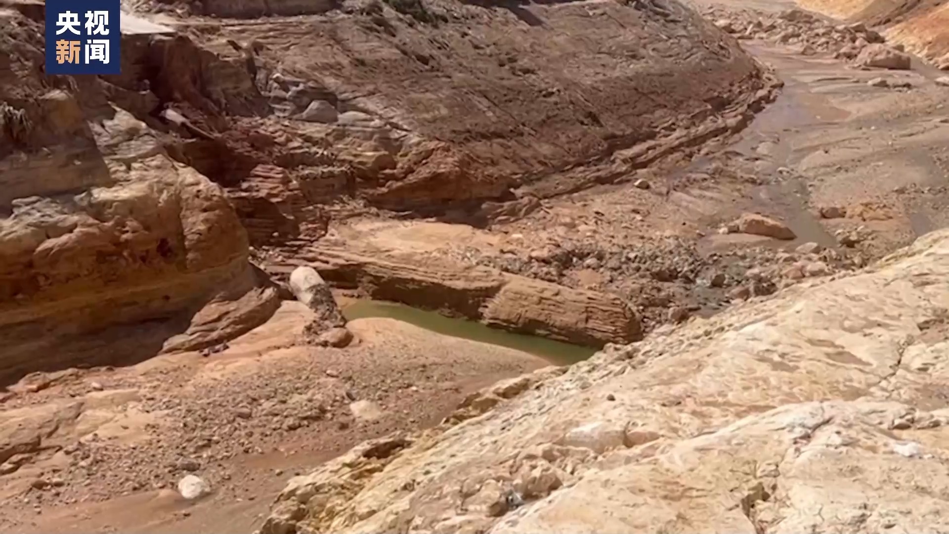 永利微信牛牛